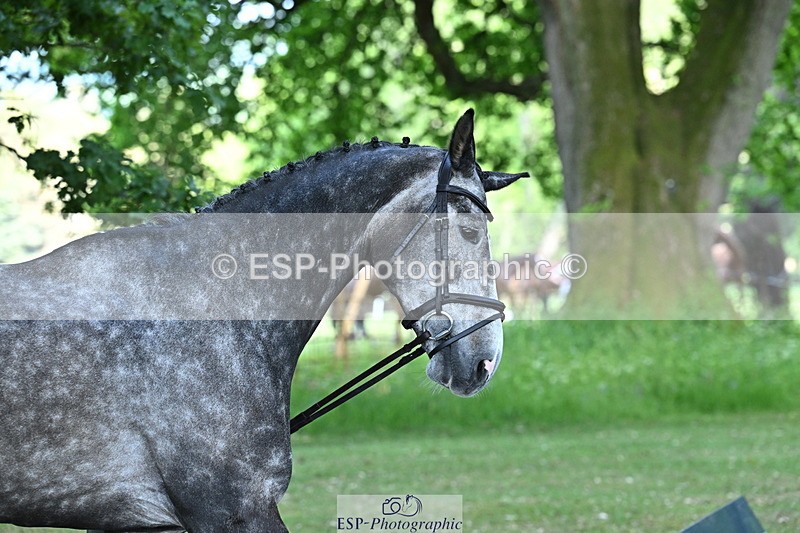 250521A-160642-00923 - C-268-Lucy.Stimson-RUSTINO