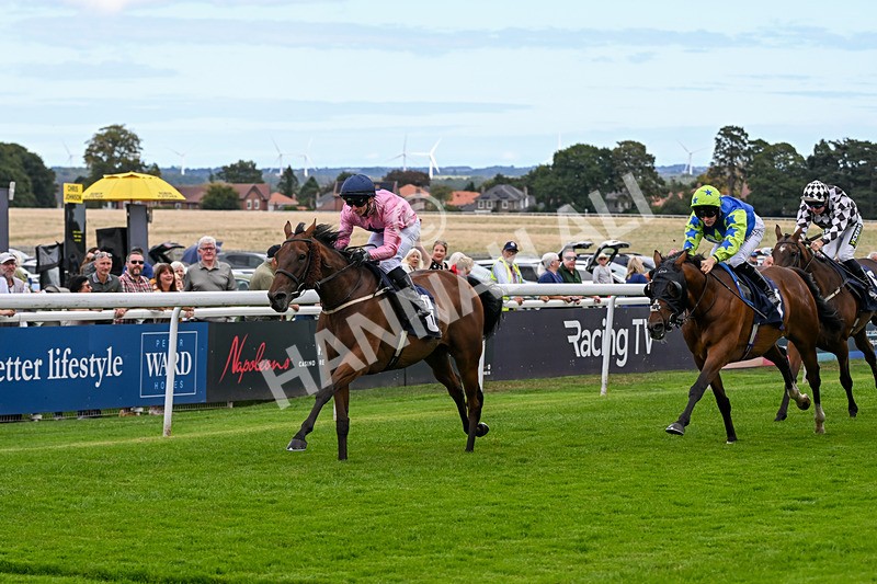 160926-Race 1-Austrian Theory-9160 - Race 1 2.08pm Season Finale Is Next Tuesday Selling Handicap