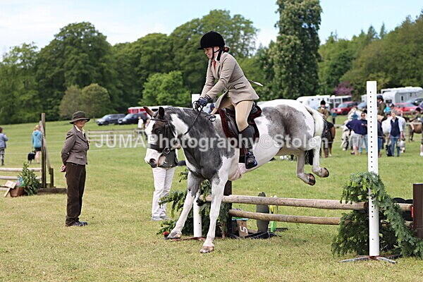 IMG_3244 - Working Hunter