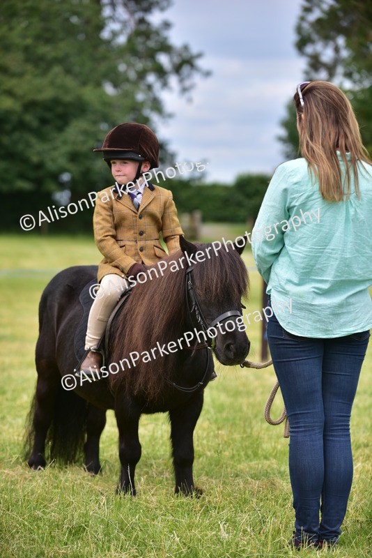 20260614-4189 - Class 17 - Best Mane and Tail