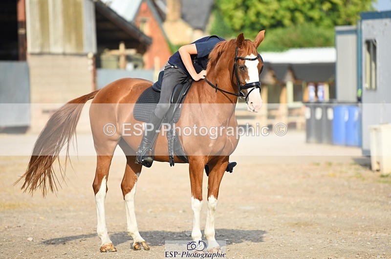 230817-084114-01574 - Kay's 1st Group - Arena