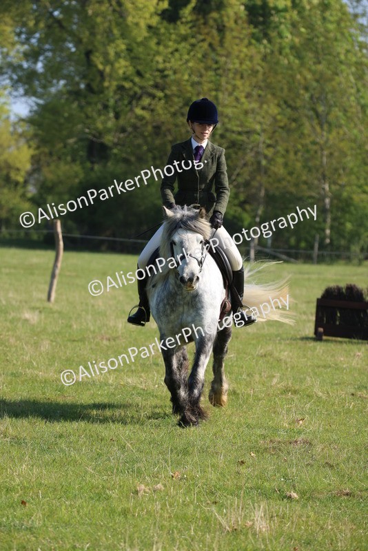 20250427-0551 - Class 17 - Novice Showing