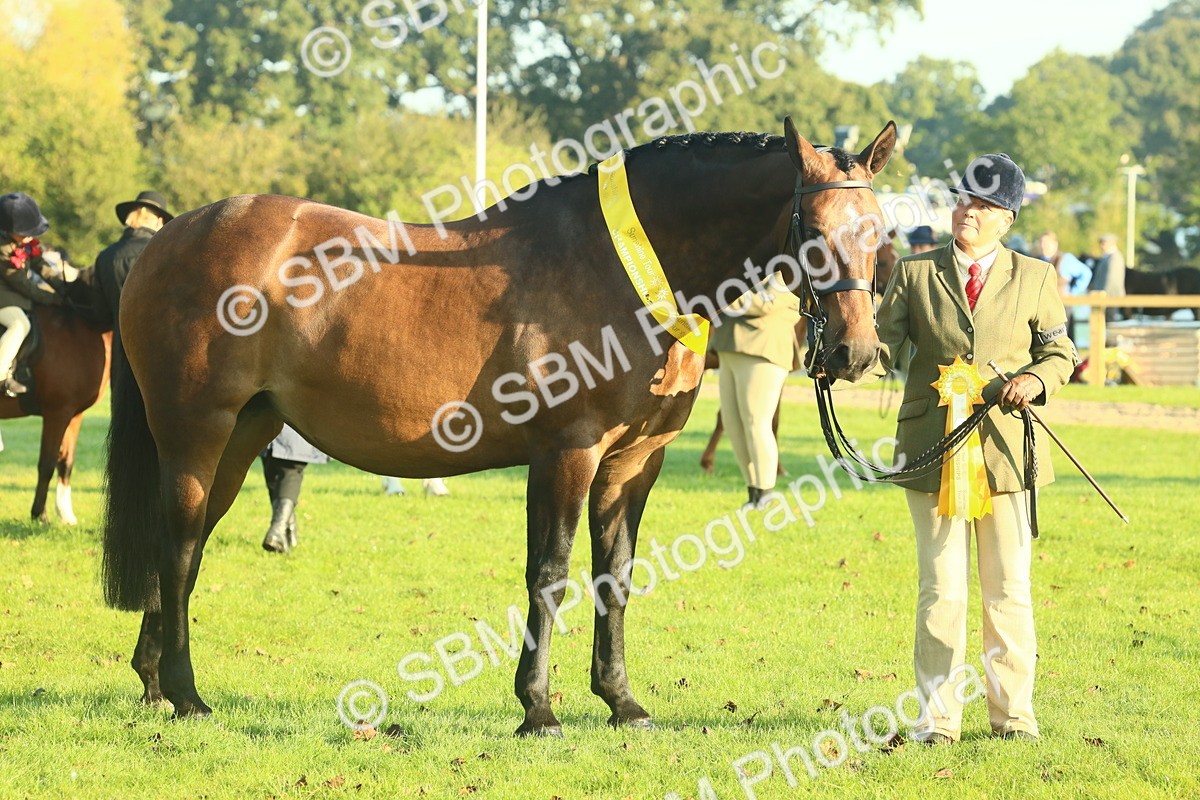 SBM_56744 - S36 - Starters Best Turnout