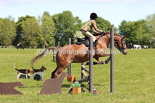 IMG_3625 - Working Hunter