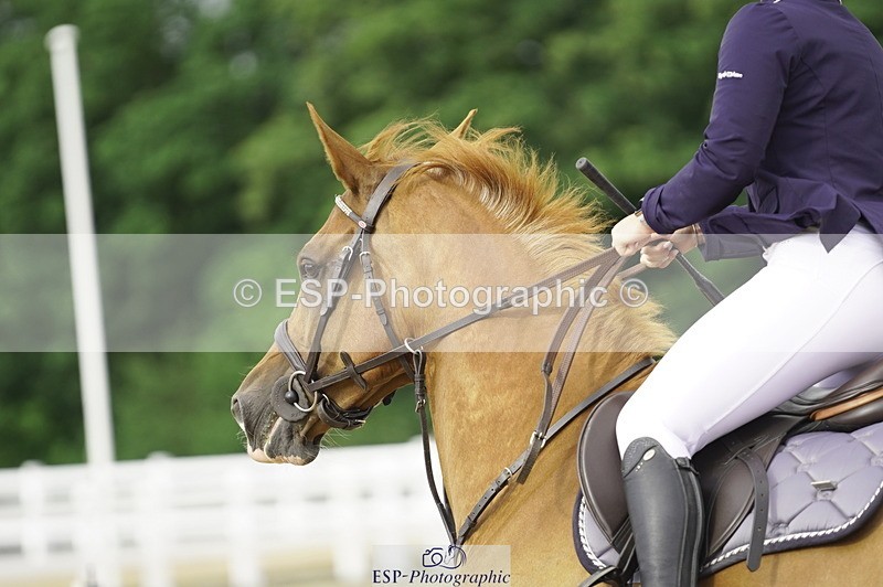 230729A-090934-04179 - Cls 20 British Novice & 90cm Open