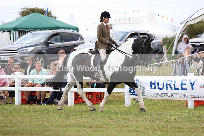 3E7A1852 - Class 10: Open Cob