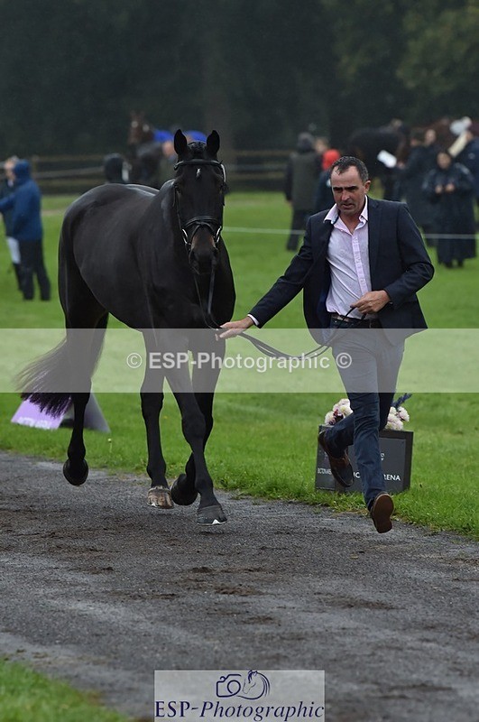 231018-120620-00080 - 060-COOKSTOWN.JACKSON-Alan.Nolan-TrotUp