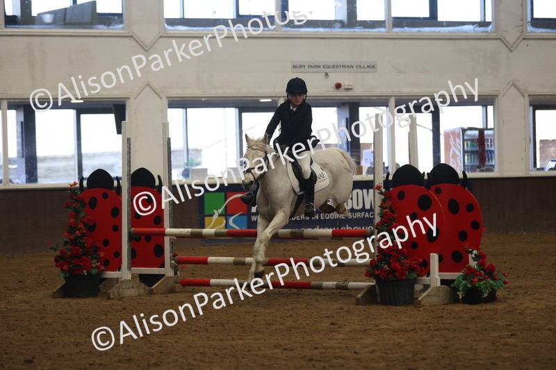 20260314-3263 - 80cm