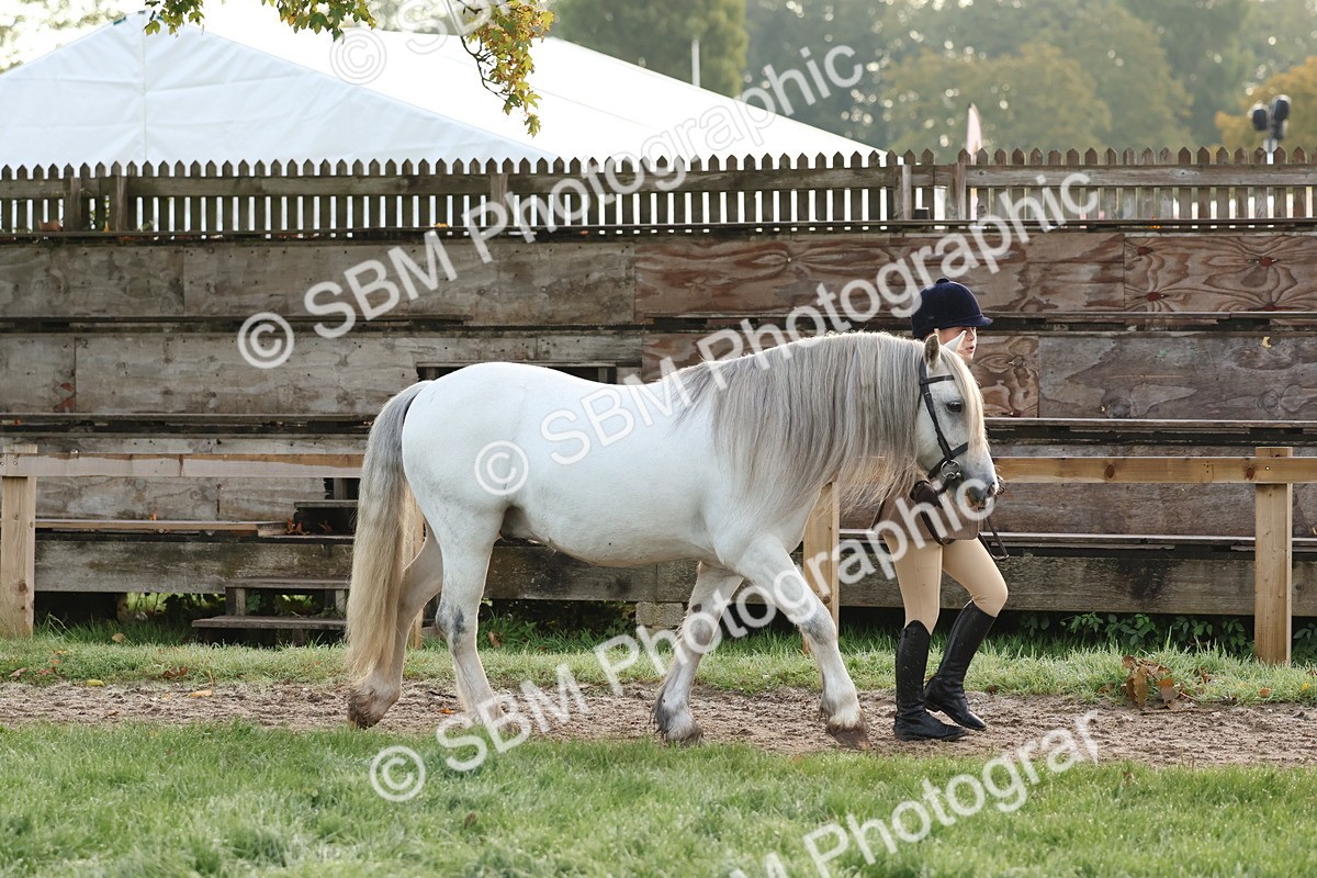 SBM_54490 - S38 - Starters Best Turnout