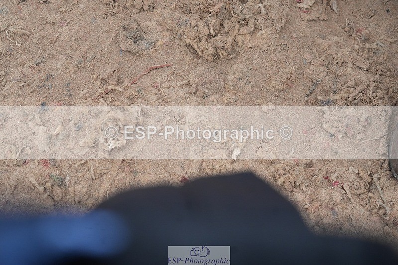 260315-132817-06273 - Cls 36 1.05m Amateur Quali