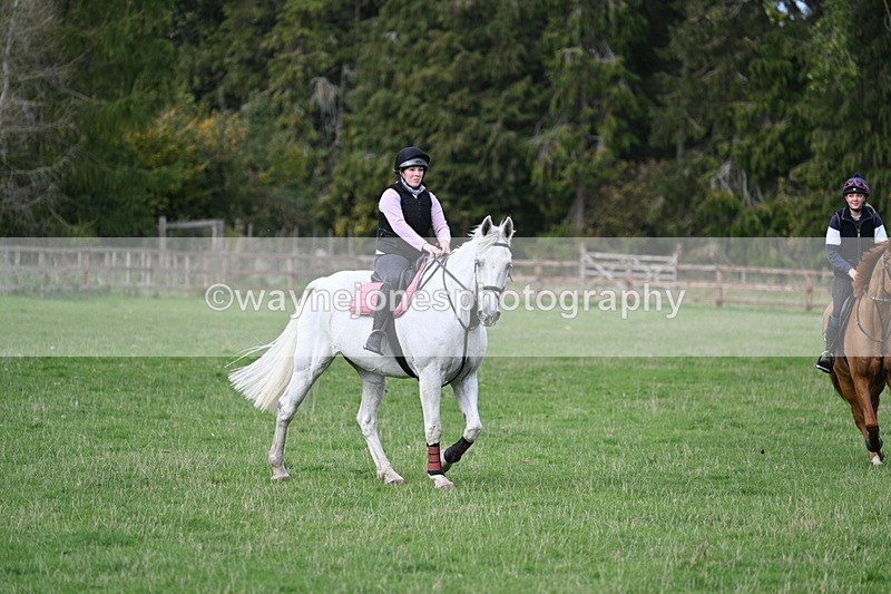 WJ7_9604 - Time 13:13 to 13:55