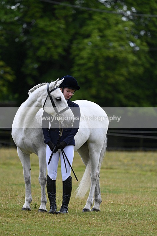 WJ7_6347 - Class 4a Prettiest Mare over 14hh