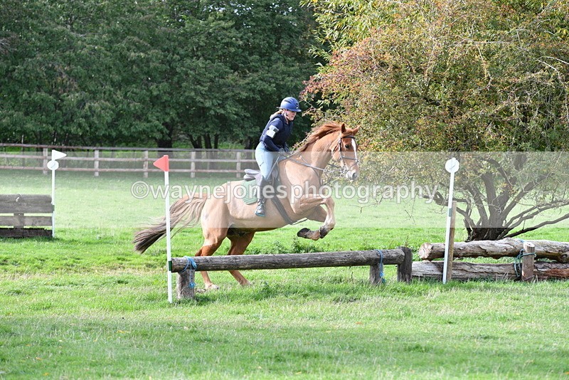 WJ5_0454 - Time 13:59 to 14:28