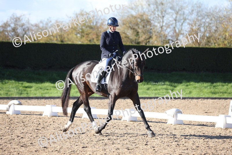 20251102-0978 - Class 5 - Elementary 5