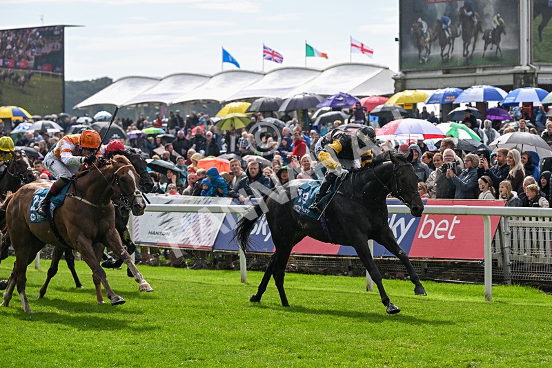 060926-Race 2-Oriental Prince-7213 - Race 2 2.05pm Fine Details Car Valeting Sprint Handicap