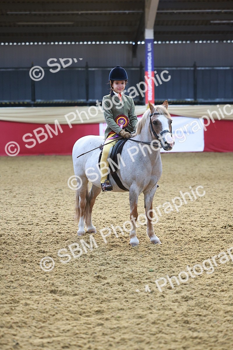 SBM_07760 - Class 101 - HOYS Veteran Qualifier - Ridden Diamond