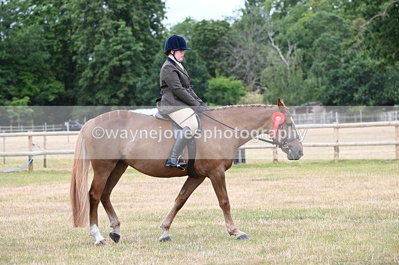 WJ6_4073 - Class 9 Tack & Turnout