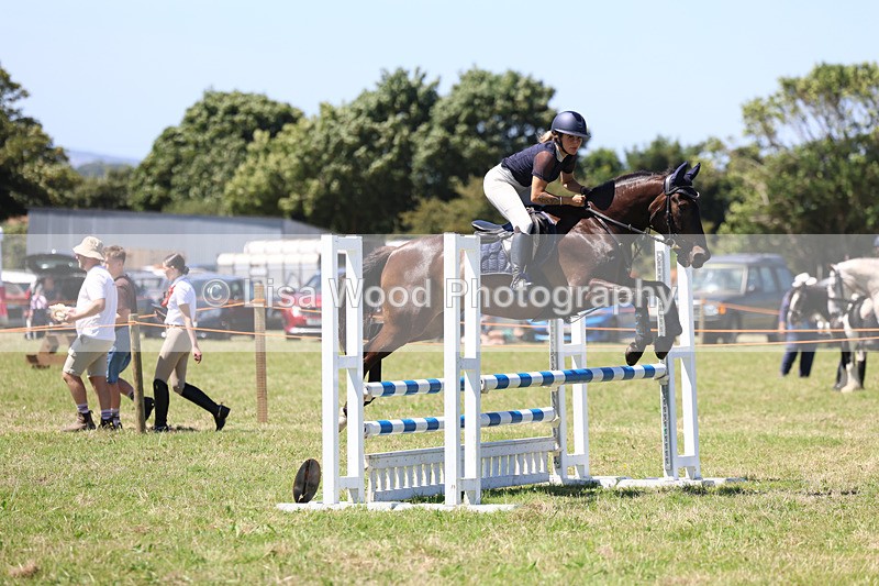 3E7A5685 - Class 9: Senior British Novice/90cm open