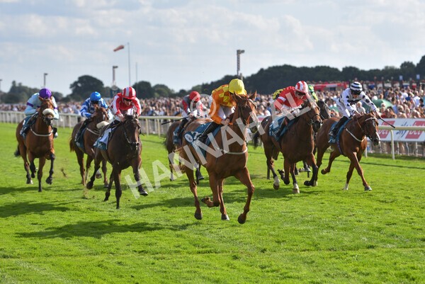 yr20082022r6-22 - Race 6 4.45 pm Julia Graves Roses Stakes