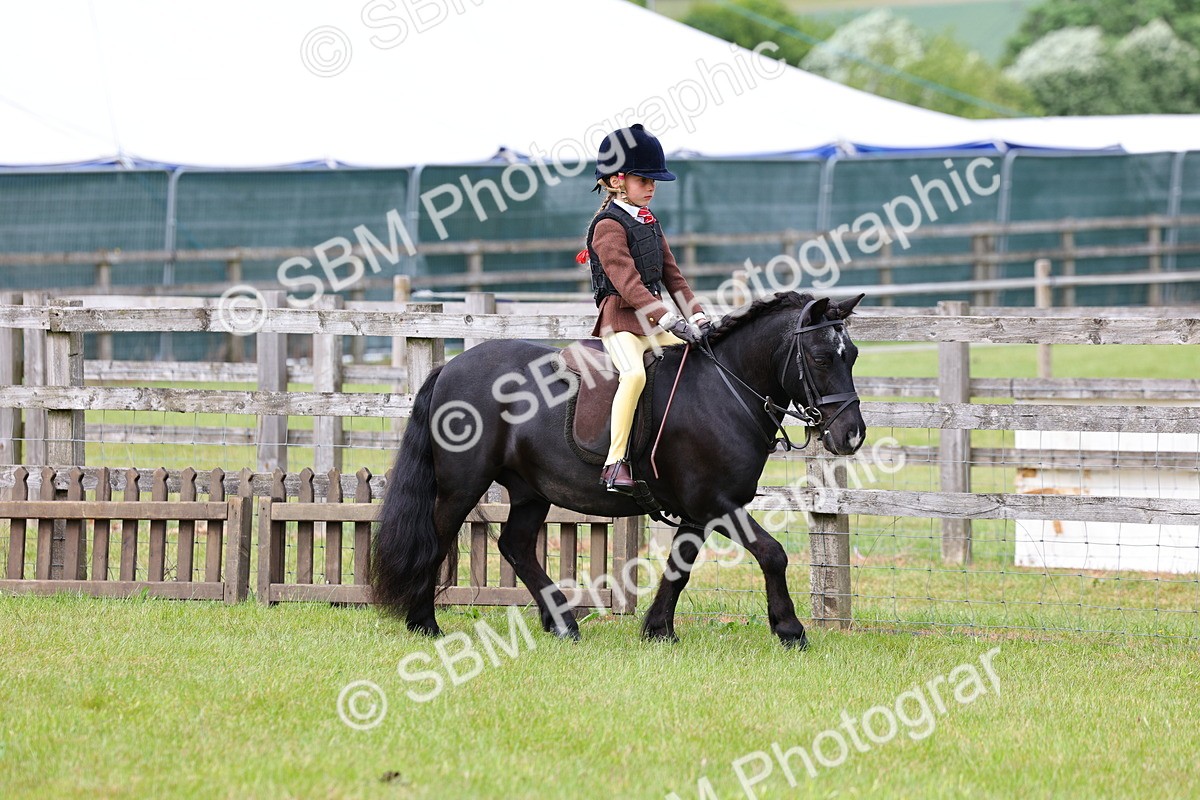 SBM_09447 - Class 44-45 - LIHS BSPS Open Nursery and Cradle Stakes