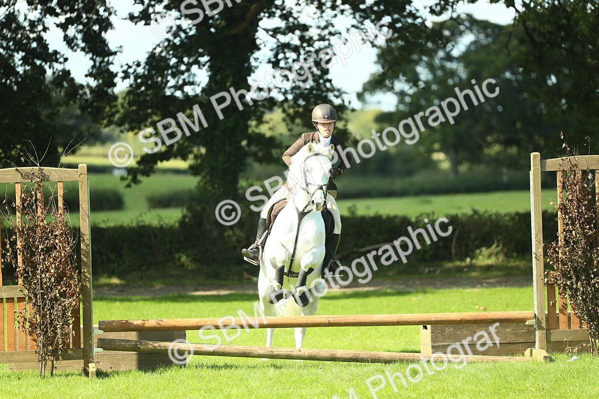 SBM_39230 - S29 - Novice & Newcomers Working Hunter Pony