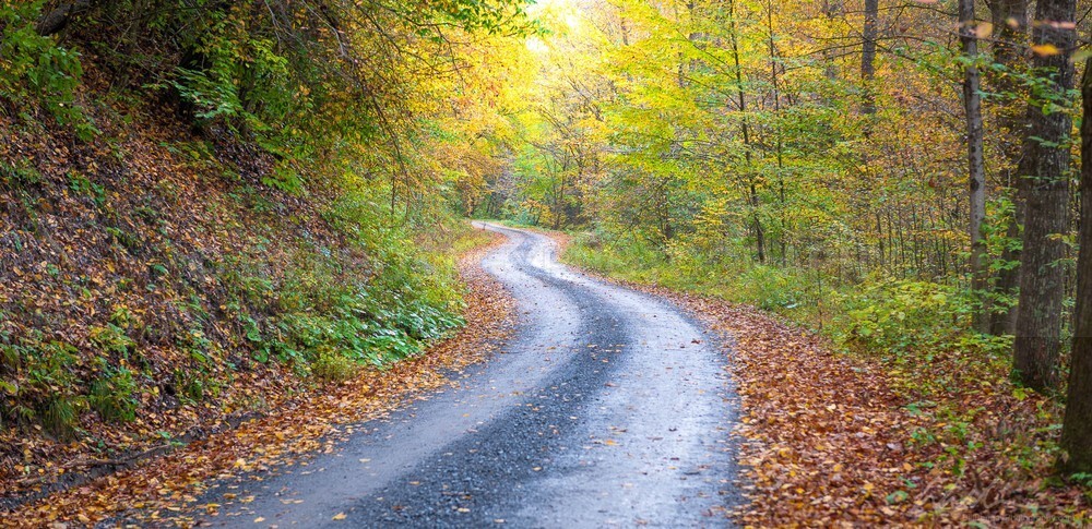 DSC_6465 - Roads