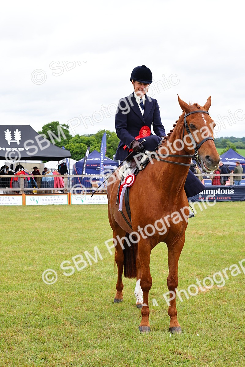 SBM_02778 - Class 9-11 Side Saddle including LIHS Rising Star Ladies Show Horse