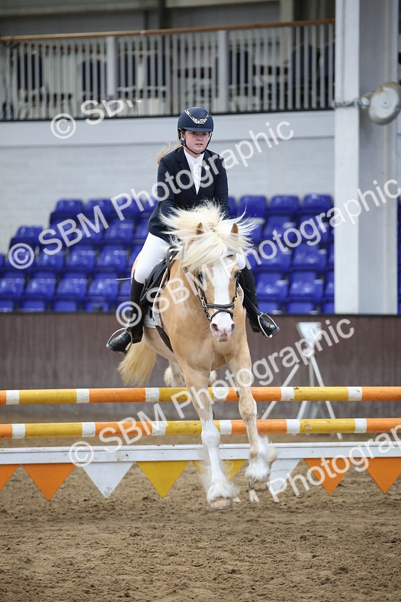 SBM_001286 - Class 5 - 80cm