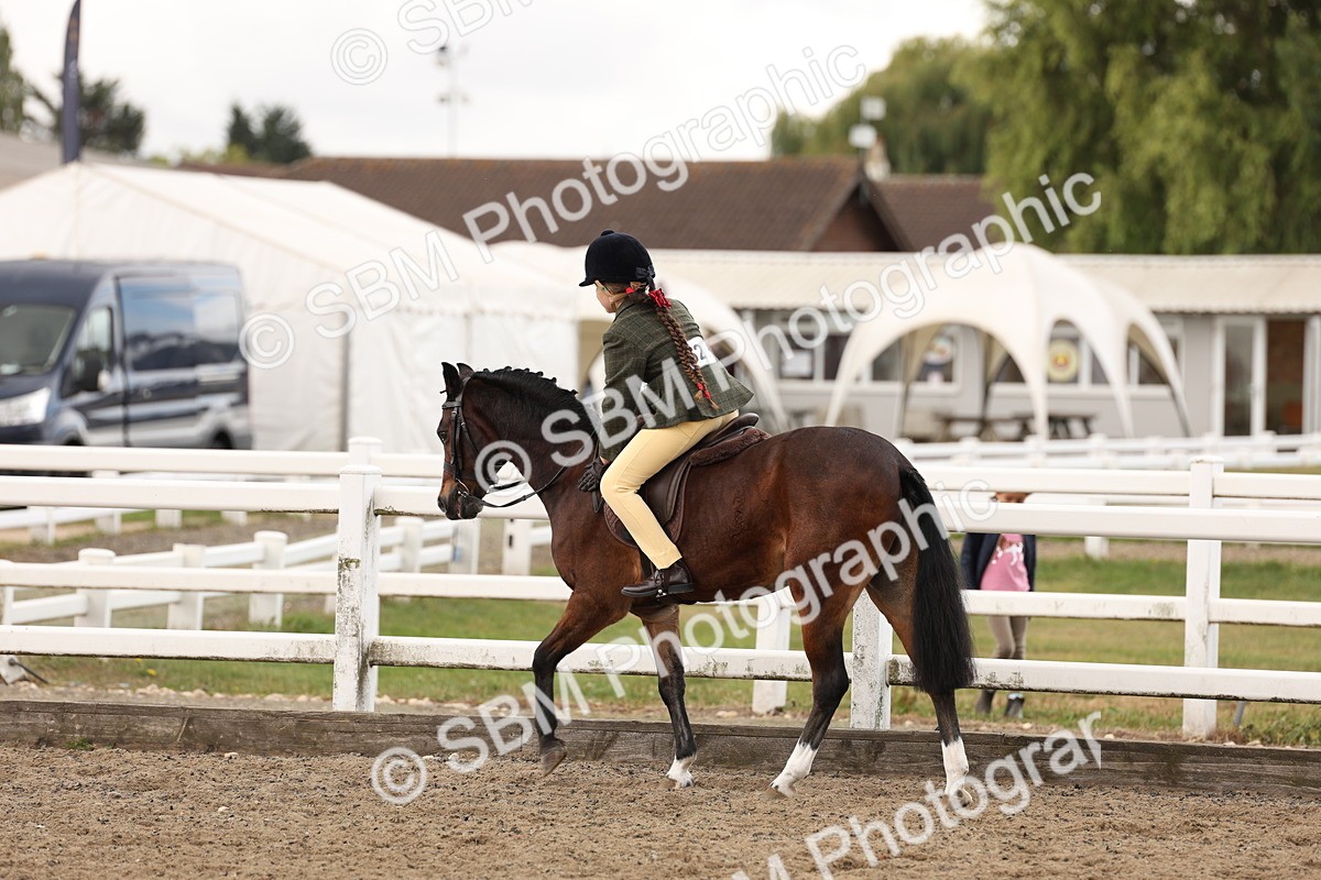 SBM_02902 - Class 53 - Ridden Competition Horse/Pony