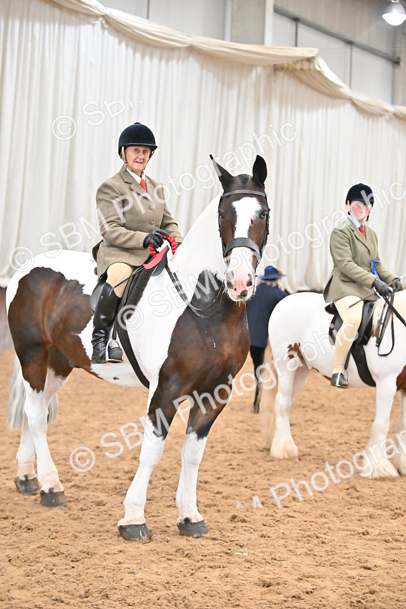 SBM_002668 - Class 28,29 - Ridden Irish & Coloured