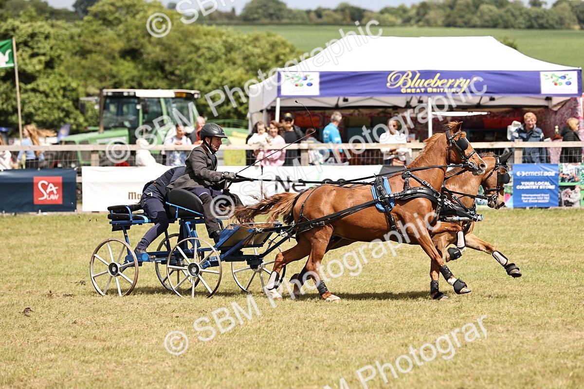 SBM_15998 - Class 91 - Scurry  exceeding 122cms