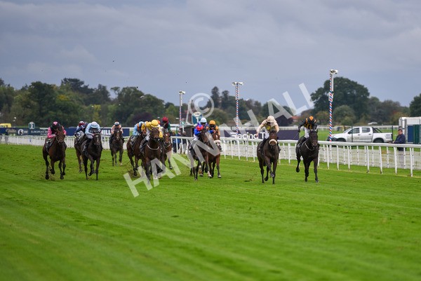 131023-Race 3-Apiarist-9400 - Race 3 3.15pm British EBF £100,000 Final