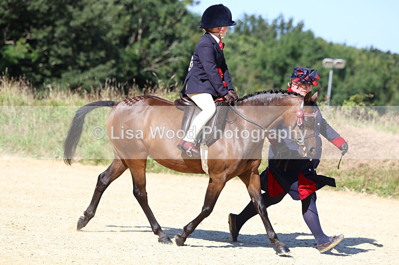 3E7A7977 - Class 14: Tack and Turnout