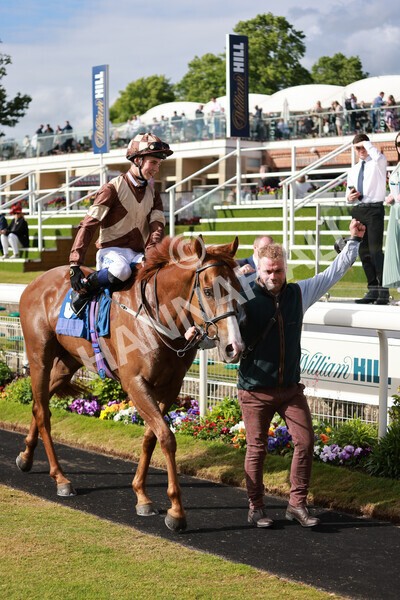 yr21052022r7-46 - Race 7: 5:15pm Reg Bond Always and Forever Stakes