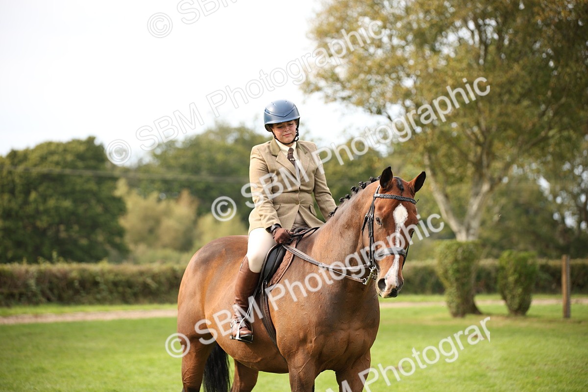 SBM_70439 - S66 - Hunter Ridden