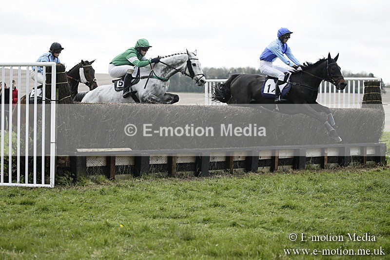 PtP 170417 74 - Old Berks Point-to-Point Lockinge 17/04/17