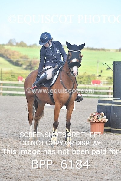 BPP_6184 - CLASS 2 80cm Scottish Amateur Champion of Scotland