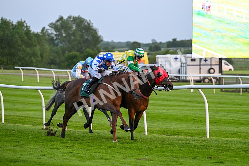 310524-Race 6-Mister Sox-9048 - Race 6