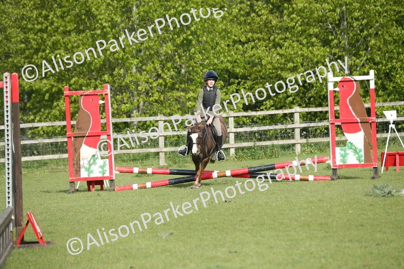 20260426-0030 - Class 13 - Rookie Jumping 50cm