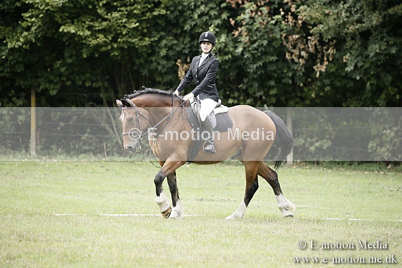 BVR080918 36 - BVRC Novice Dressage & CR 08/09/18