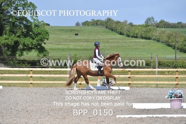 BPP_0150 - SHORT ARENA  MY QUEST PRELIM