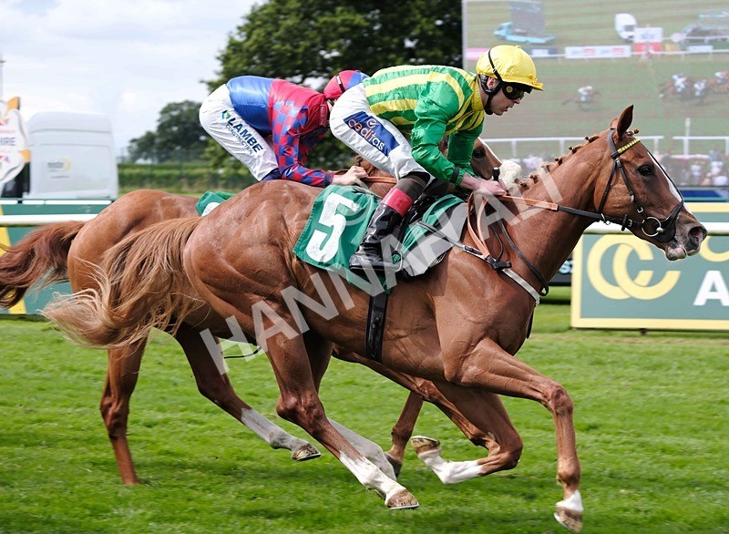 260724-Race 3-Lovat Scout-07 - Race 3