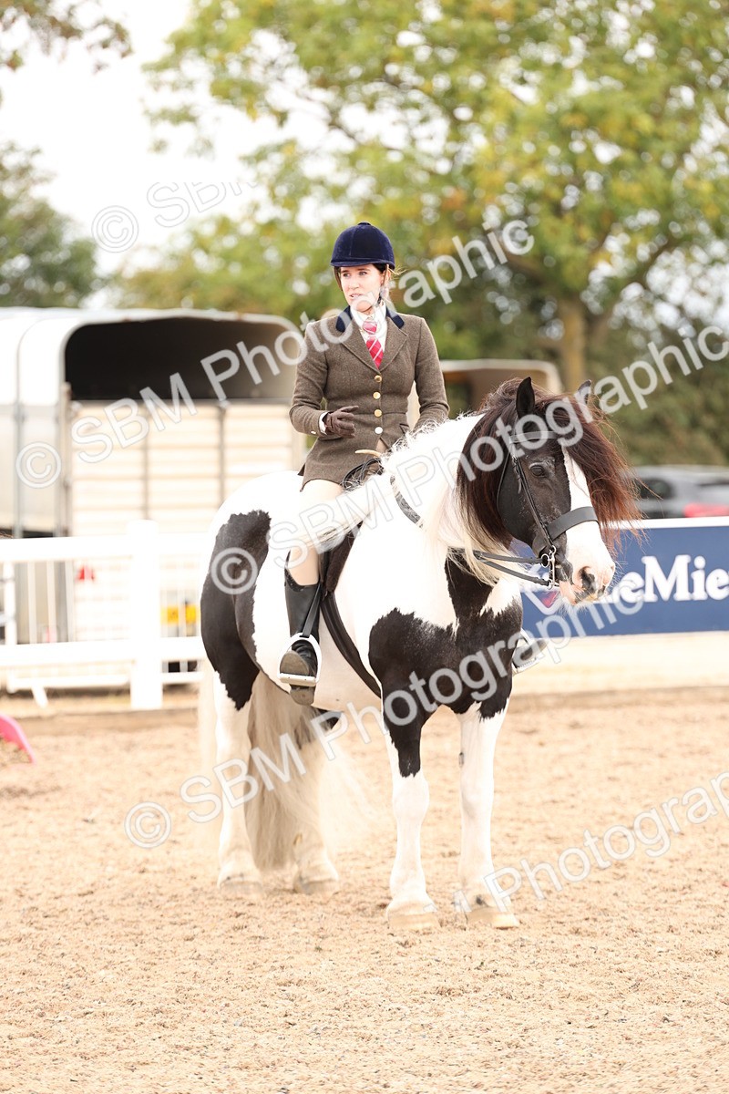 SBM_19712 - Class 216 - Ridden Traditional - Native Cob