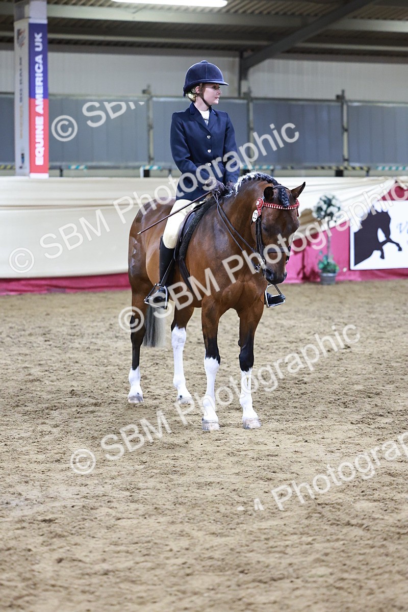 SBM_20848 - Class L - Coloured Champ