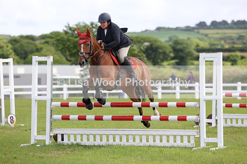 3E7A7482 - Class 13: Senior British Novice/90cm open