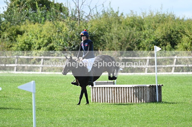 WJ7_8598 - 60cm Pairs