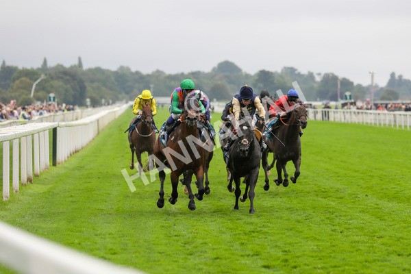 080924-Race 5-Quinault-4511 - Race 5 4.00pm Starman At Tally Ho Stud Garrowby Stakes