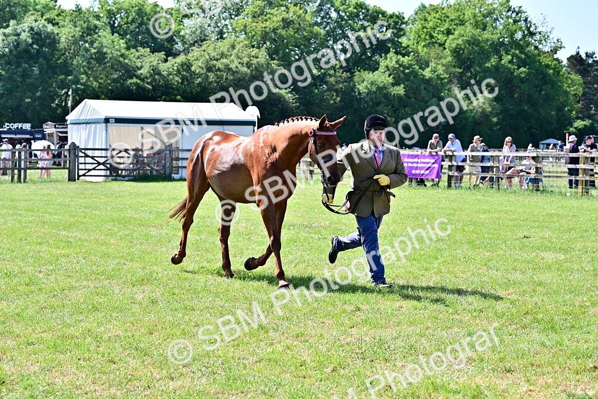 SBM_12864 - Class 98 - Retraining of Racehorse In Hand