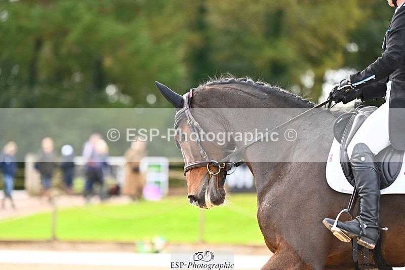 231021-134532-17706 - 350-DAZZLING.SPRINGTIME-Alice.Kneen-DR