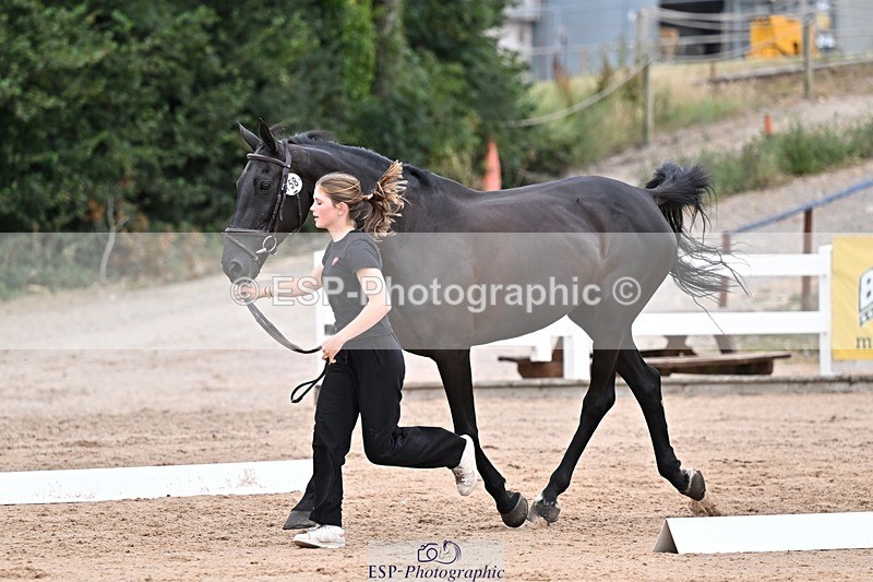 250716-134058-00624 - Trot Up 1.30 to 2.30